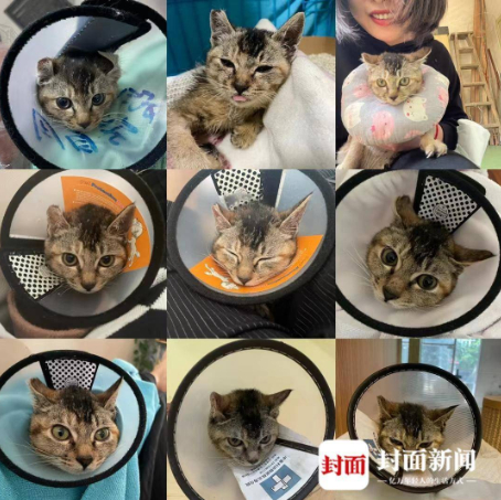 初八麻麻记录不同时期的初八