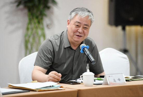 南京师范大学文学院院长、教授，江苏省语文教育研究院院长高峰
