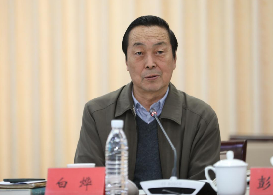 中国社会科学院研究员，中国当代文学研究会名誉会长白烨发言
