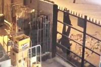笨贼行窃被围栏挂住 倒吊数小时后见到警察激动坏了
