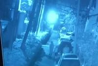 狗主人牵绳遛狗 女子逗狗被咬面部缝合30多针