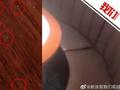 女子带小孩饭店用餐身上爬满白虫,店方:正协商处理 已全面消杀