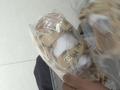 男子给女友买假大牌牵出售假团伙 女友:全是logo太浮夸