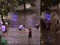 河南一高校因暴雨导致积水,学生过起泼水节,晚上被告知:水里有粪便