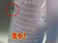 柳州一益禾堂奶茶店遍布蟑螂死活都有 市场监管部门下达整改书