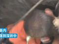 丈夫坠井妻子跳下陪伴哭喊先救他:“先把我老公救出去”