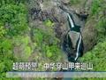 超萌预警!中华穿山甲来巡山