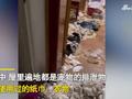 女租客退房留下遍地排泄物和纸巾 房东进屋瞬间干呕