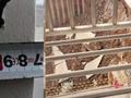 在建工地塌方致周边居民楼开裂倾斜?官方:正进行安全评估