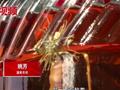 蓬莱一人家20年干人参泡酒后开花:开始以为长毛了 半年花未谢