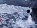 家门口雪人被俩男生强拉上车带走,主人:堆了半小时现在只剩个坑
