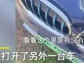 上海一男子封控在家2个月,检查爱车时竟发现长“猫”了:该不该收它们房租