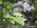 北京一病例未参加核酸筛查延误治疗并导致疫情传播:感到十分后悔