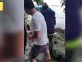 杭州大爷在西湖苏堤喜提大鱼,拉出瞬间全场沸腾:钓鱼界的天花板