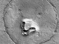 NASA公布火星表面拍到酷似泰迪熊脸照:熊鼻子或是火山口