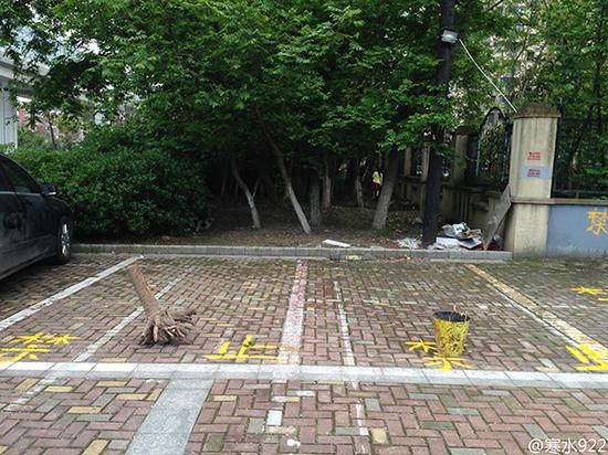 地面上除了黄色油漆画的“禁止停车”大字，还放着桶和树根。