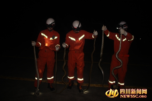 消防官兵抓获的大蛇