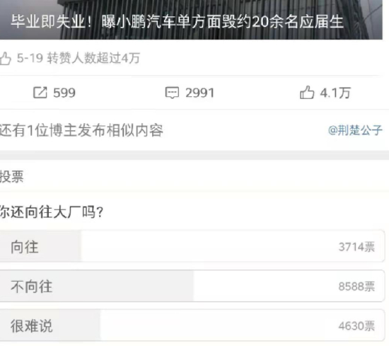 应届生被裁的热搜里关于大厂的投票 图源：微博截图