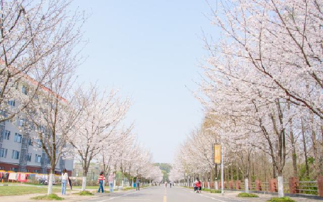 华中农业大学