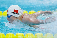 全运会11日看点：“蝶后”“蛙王”开启全运夺金模式？