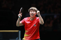 WTT多哈冠军赛今日拉开帷幕 国乒首日3人出战