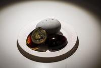 恶心食物博物馆开幕 展出八十多个国家的恶心食物