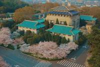 武汉大学战疫宣传片:没有一段凛寒不曾消散