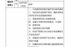 涉及24项违规！国家开发银行被银保监会罚款4880万元