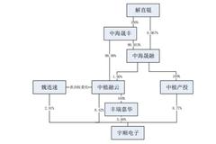 “中植系”实控人解直锟离世 持股两家港股上市公司