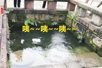 这口井喊一声就冒水