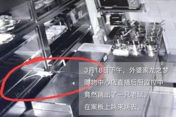 外婆家后厨惊现老鼠
