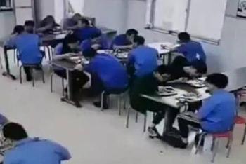野猪误闯员工食堂觅食