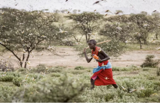 美联社报道截图。/&nbsp;推特