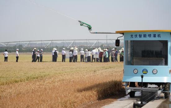 5月20日,上海合作组织减贫和可持续发展论坛在陕西西安开幕。5月19日,与会人员在陕西杨凌示范区进行实地考察等活动。新华社记者邵瑞摄