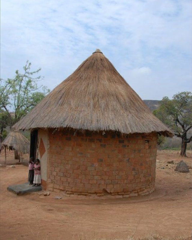 非洲"土豪"生活:3个蛋1000亿