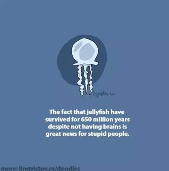 Nothing enough. Hello a am a Jellyfish and i have no Brain. Hi im Jellyfish and i have no Brain.