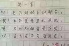 小学生奇葩暑假作业辣眼睛!爸妈生二胎咋办?