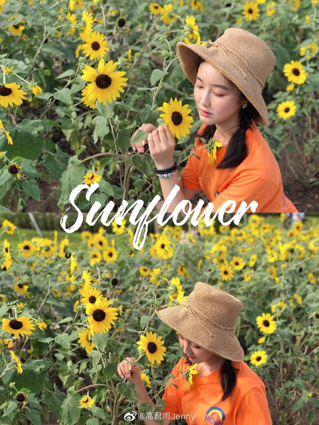 点读机女孩 高君雨