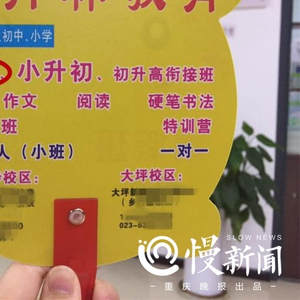 2024年幼升小衔接数学视频_幼小衔接课程数学视频20分钟_幼小衔接视频教程数学10分钟