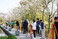 大学教师教学能力全画像 教学发展水平呈两极分布