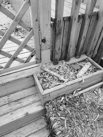 小南庄社区滑梯乐园内散落着不少垃圾。
