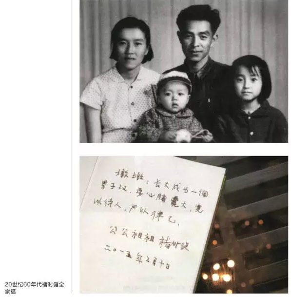 凤将雏