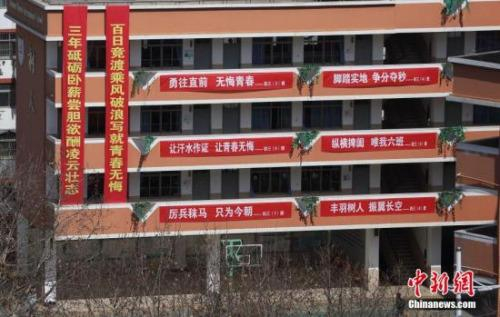 资料图。 <a  href='http://www.chinanews.com/'>中新社</a>发 泱波 摄 