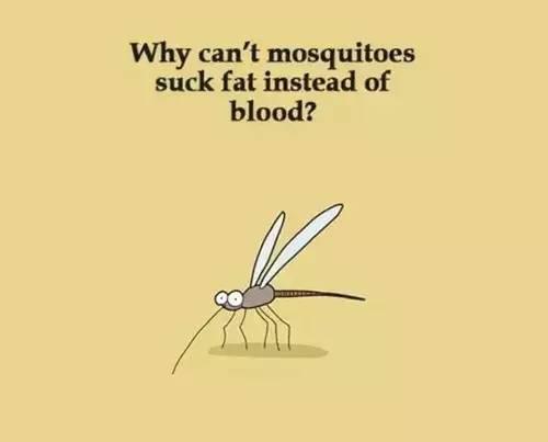 蚊子吸的是脂肪那该有多好？
