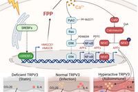 祝贺北大、清华科研团队！