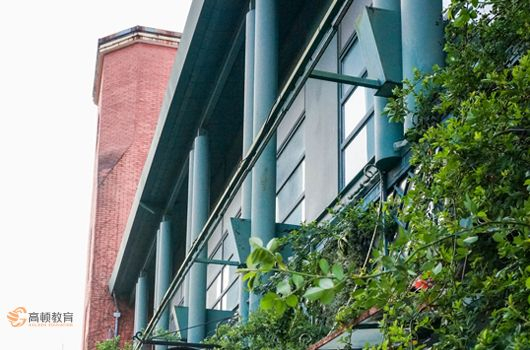 税务师考试时间