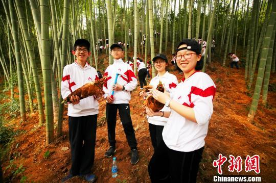 　　近日，255名人大附中翠微学子在黄山市进行研学旅行。图为学生们在竹林里体验挖笋 樊成柱 摄