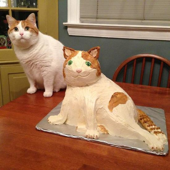 4.It‘s a good thing cats don’t care about cake