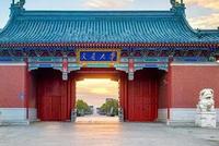 揭秘名校生毕业后都干嘛了?