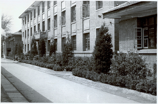 竣工后的高干楼